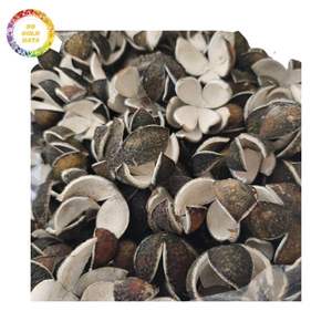 Cáscara de Cítrus Reticulata Seca de Alta Calidad al por Mayor para Hacer Té - Product Image 2