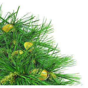 Suplemento de Salud de Primera Calidad de Pino Rojo Coreano, Fórmula de Alta Pureza con Extracto de Aceite de Aguja de Pino Orgánico en Cápsulas Blandas para Adultos - Product Image 3