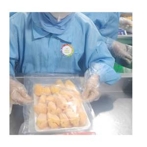 JACQUIFRUTA ORGÁNICA IQF EN OFERTA A PRECIO ECONÓMICO, DELICIOSA Y DULCE, PRODUCIDA EN VIETNAM, JACQUIFRUTA CONGELADA IQF DE ALTA CALIDAD - Product Image 1