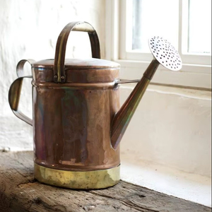 Arrosoir professionnel en métal pour le jardinage, avec bec de précision et construction durable résistante à la rouille - Product Image 1