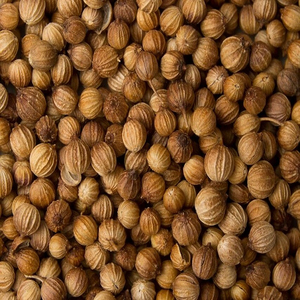 Graines de coriandre séchées naturelles pures Hew Harvest à faible MOQ pour l'assaisonnement alimentaire et la cuisine - Product Image 6