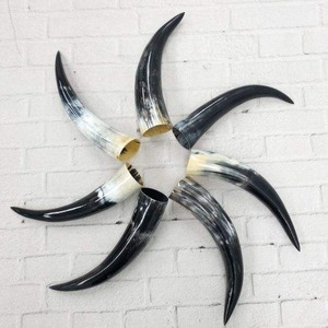 Jarra Vikinga de Cuerno de Búfalo Hecha a Mano, Duradera y Ecológica, Decoración Clásica para el Hogar, Hotel o Restaurante, Regalo Empresarial - Product Image 2