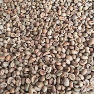 Café Robusta de qualité mondiale, processus miel, écran 13, taux de maturité élevé, nouvelle récolte, matière première brute, ferme du Dak Lak, Vietnam - Product Image 6