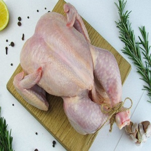 Pollo Entero Congelado Halal Profesional, Origen Europeo, para la Industria de Servicios Alimentarios - Product Image 4