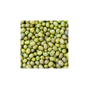 Prix d'usine, qualité supérieure, haricots mungo verts, haricots Vigna, haricots verts - Product Image 1