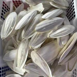 กระดูกปลาหมึกแห้งเวียดนามสำหรับนก คุณภาพสูง สำหรับอาหารสัตว์ กระดูกปลาหมึกสีขาวธรรมชาติ - Product Image 1