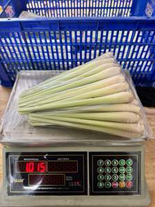 Herbe de citronnelle entière surgelée IQF de qualité supérieure, naturelle et aromatique, exportateur du Vietnam - Product Image 4