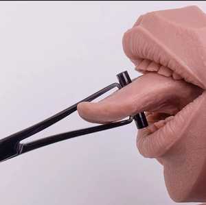 Pinza Quirúrgica para Septum WARSAW MEDICAL WM-PBF-058, Fabricada a Medida, 6 Pulgadas, Acero Inoxidable Alemán, Manual, CE ISO13485 - Product Image 3