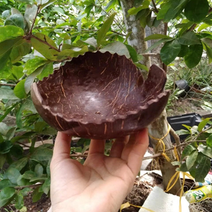 Ventes en gros de bols en noix de coco polies |   Ustensiles de cuisine biologiques personnalisables |   Collection Maison 2026 - Product Image 1