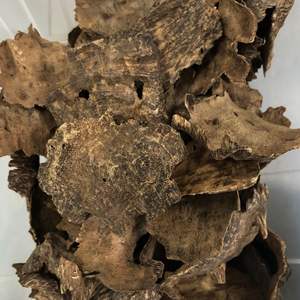 Bois d'agar oud à forte teneur en huile, copeaux de racine d'oud de qualité supérieure, type de résine profonde, provenant de l'usine du Vietnam - Product Image 6