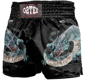 <b>Men</b> Muay Thai <b>Shorts</b> Satin Print Elastic Waist Training Gym Kickboxing Lightweight Top top <b>mens</b> muay thai martial - Product Image 2