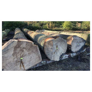 Bûches de bois de chêne naturelles, bois dur rond pour la production de bois d'œuvre en scierie, usine de meubles et revêtements de sol, approvisionnement en vrac - Product Image 6