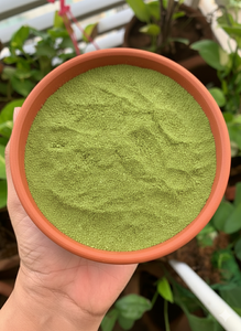 Polvo de Hoja de Moringa Natural de Primera Calidad para Bebidas Saludables, Cocina y Recetas Nutricionales Disponible a un Precio Competitivo - Product Image 6
