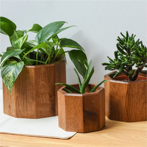 Pot de plante carré en bois naturel fait main, en bois de manguier, pour plantes d'intérieur, décoration de table, maison et bureau - Product Image 2