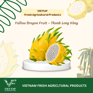 Dragon <span class=keywords><strong>Fruit</strong></span> Jaune <span class=keywords><strong>de</strong></span> Qualité Supérieure, Frais, OEM ODM, 100% Naturel, Qualité Export Standard, Biologique, Naturellement Cultivé, Grade Vietnam - Product Image 3