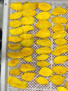 Premium <b>Quality</b> <b>Sweet</b> Preserved AD Dried Mango Slices Bulk Vacuum Pack Soft From Vietnam GMO - Caryln - Product Image 3