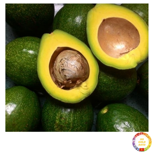 <b>Fresh</b> organic avocado <b>fruit</b> tropical creamy material for puree baby food culinary export wholesale Vietnam - Product Image 3
