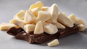 Manteca de Cacao de Alta Calidad con Certificación ISO, 100% Pura, Terra Bio, para la Industria Cosmética, Proveedores y Exportadores Mayoristas de la India - Product Image 6