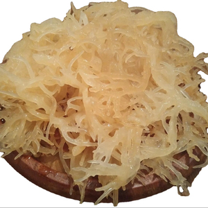 Musgo Marino Vietnamita de Alta Calidad para la Elaboración de Gel y Nutrición, Suministro a Granel para el Mercado Global - Product Image 1