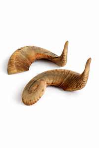 Cuerno de Carnero Natural Pulido, Cuerno de Búfalo para Beber, Decoración Rústica Moderna para el Hogar, Regalo Premium, Ecológico, Apto para Lavavajillas - Product Image 2