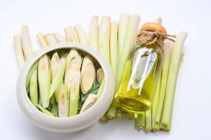 Aceite esencial de limoncillo natural puro hecho en La India empaquetado a medida en botella cultivada en estado salvaje a la venta - Product Image 4