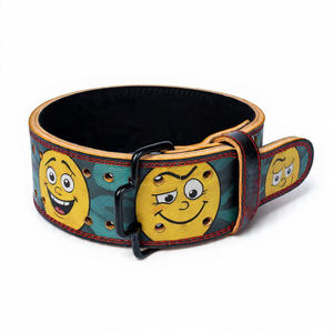 Cinturones de levantamiento de pesas Power Anime Belts para entrenamiento y fitness, cinturón de entrenamiento con soporte lumbar - Product Image 4