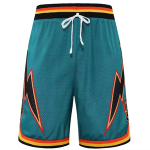<b>Heat</b> Men's Teal Mesh Basketball Shorts Sublimated Print Drawstring Closure Breathable All Seasons Adult Regular Fit - Product Image 1