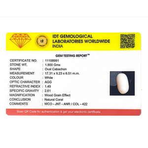 Natural White Coral 12.4 Carat Certified Wholesale Lot-Calibrated 30mm Height 20mm Diameter - Product Image 4