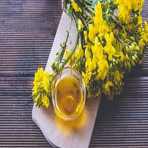 Compre Aceite de Canola Reprocessado Bajo en Grasas Saturadas, Rico en Grasas Monosaturadas, Calidad Premium, Refinado, Envasado en Botella de Vidrio de 100L - Product Image 4