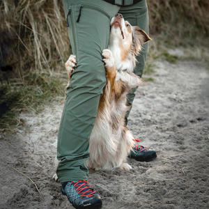 OEM Unisex Dog Walker Shell Pants DWR Water Repellent Multi-Pocket Outdoor Hiking Trousers Wholesale PFAS-Free Custom Logo - Product Image 4