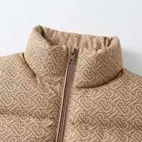 Blouson matelassé en toile unie pour homme, col à capuche, fermeture éclair, streetwear d'hiver, rembourrage en polyester, coupe classique