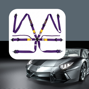 Competition Safety Belt TBRACING FIA Approved 8853 2016 OEM ODM Brand Agent Wholesale Factory Direct Racing Supply - Product Image 1