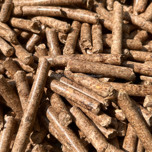 Pellets de Madera Orgánicos Premium KIM MINH de Vietnam |   Combustible al por Mayor con 3% de Cenizas y 9% de Humedad para Calderas de Cocina y Plantas de Energía - Product Image 3
