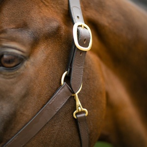 Cabestro para Caballo de Cuero Genuino Más Vendido, Personalizable en Color, Tamaño, Logotipo y Diseño, Duradero, Marca Equestrian Rub International - Product Image 2