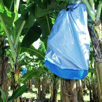 Herbruikbare PP/HD non-woven fruitbeschermhoes met hitteverzegeling, milieuvriendelijk, op maat gemaakte plastic zak voor bananen en tomaten