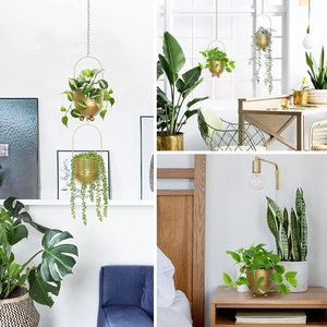 Ganchos Metálicos para Plantas con Cadena, Modernos Ganchos Colgantes para Interiores y Exteriores, para Pared y Techo - Product Image 6