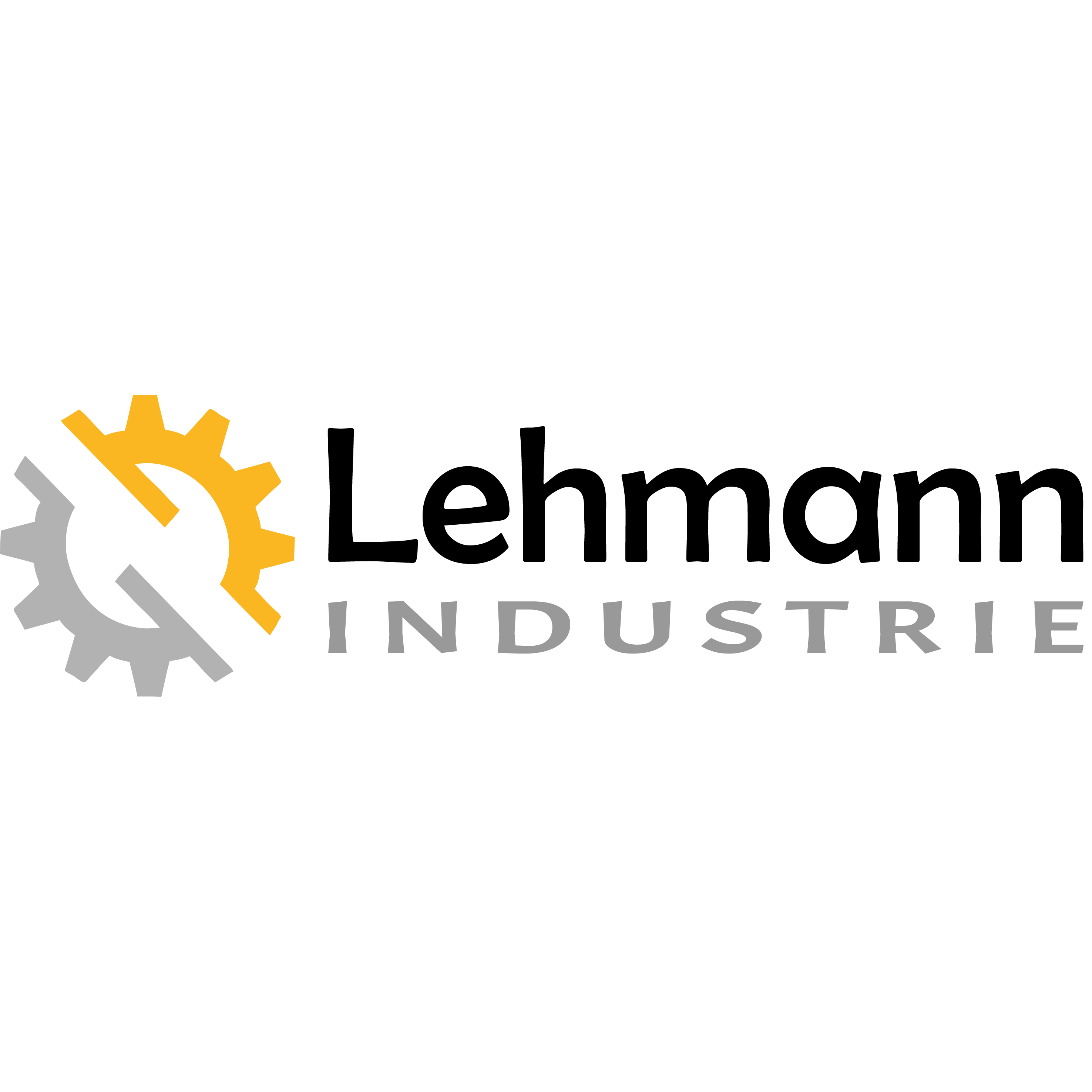 LEHMANN INDUSTRIE GmbH logo