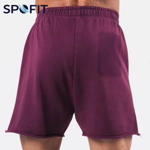 Pantalones Cortos de Malla para Hombre, Estilo Urbano, Vintage, Teñido al Sol, Lavado Claro, con Borde sin Rematar, Estampado Puff, Cintura Elástica - Product Image 3