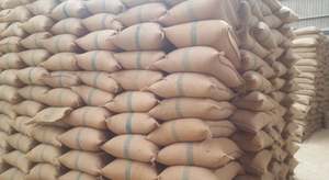 Robusta Whole Bean Coffee Premium Green Beans para un sabor rico y audaz - Product Image 3