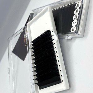 Premium Eyelash Extensions <b>Individual</b> Tray <b>Lash</b> 12/16 Lines Matte Black CC/DD/M/L Curl Private Label Synthetic Hair Natural Long - Product Image 1