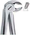 Adult Dental <b>Pliers</b> <b>Set</b> of Ten Stainless Steel Minimally Invasive Tooth Extraction Instruments and Tools by Blush surgical - Product Image 4