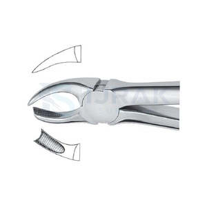 Forceps d'extraction dentaire en acier inoxydable, instrument chirurgical manuel pour la procédure d'extraction dentaire - Product Image 5