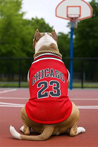 Chaleco Deportivo de Malla para Perros Chicago 23, Transpirable, para Todas las Estaciones - Product Image 1