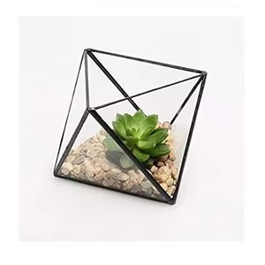 Decorative <b>Frame</b> Metal Terrarium Glass Planter Modern Indoor <b>Plant</b> Holder Geometric Home Accent - Product Image 6