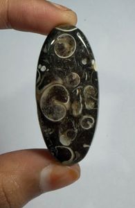 Lote al por mayor de cabujones de ágata TURRITELLA por peso con diferentes formas y tamaños utilizados para la fabricación de joyas, piedra TURRITELLA - Product Image 2