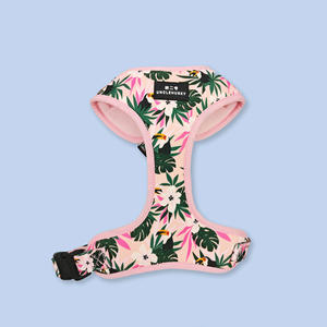 Collare di raffreddamento estivo personalizzato tattico altri collari per animali domestici guinzaglio borsa da viaggio imbracatura per cani - Product Image 6