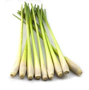Wholesale in Bulk Cheap Price <b>Dried</b> <b>Lemongrass</b> Made in Vietnam - Product Image 6