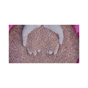 Fertilizante Compuesto NPK de Alta Calidad, Venta al Por Mayor, Exportación a Granel para Compradores Internacionales - Product Image 1