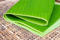 HETE AANBIEDINGEN!!! Premium bananenbladeren tegen geweldige prijzen uit Vietnam!