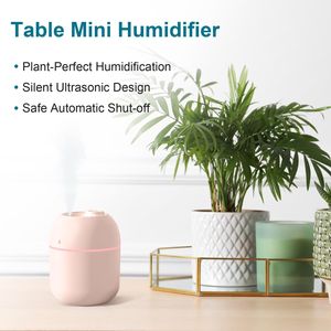 Mini umidificatore USB da tavolo a nebulizzazione fredda per casa, ufficio e viaggi - Product Image 2